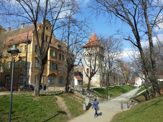 Parcul Cetății